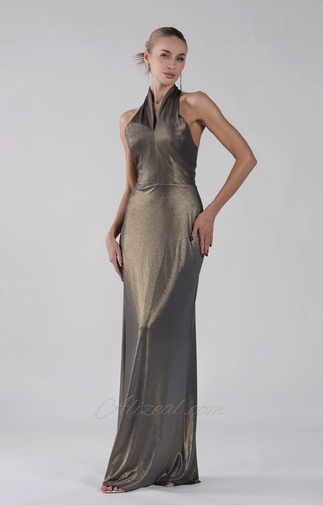 Halter A-Line Open Back Zipper Maxi Dress