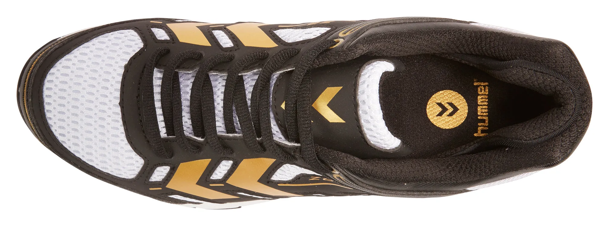 OmniCourt Z6 Trophy  H60-249 & H060-358