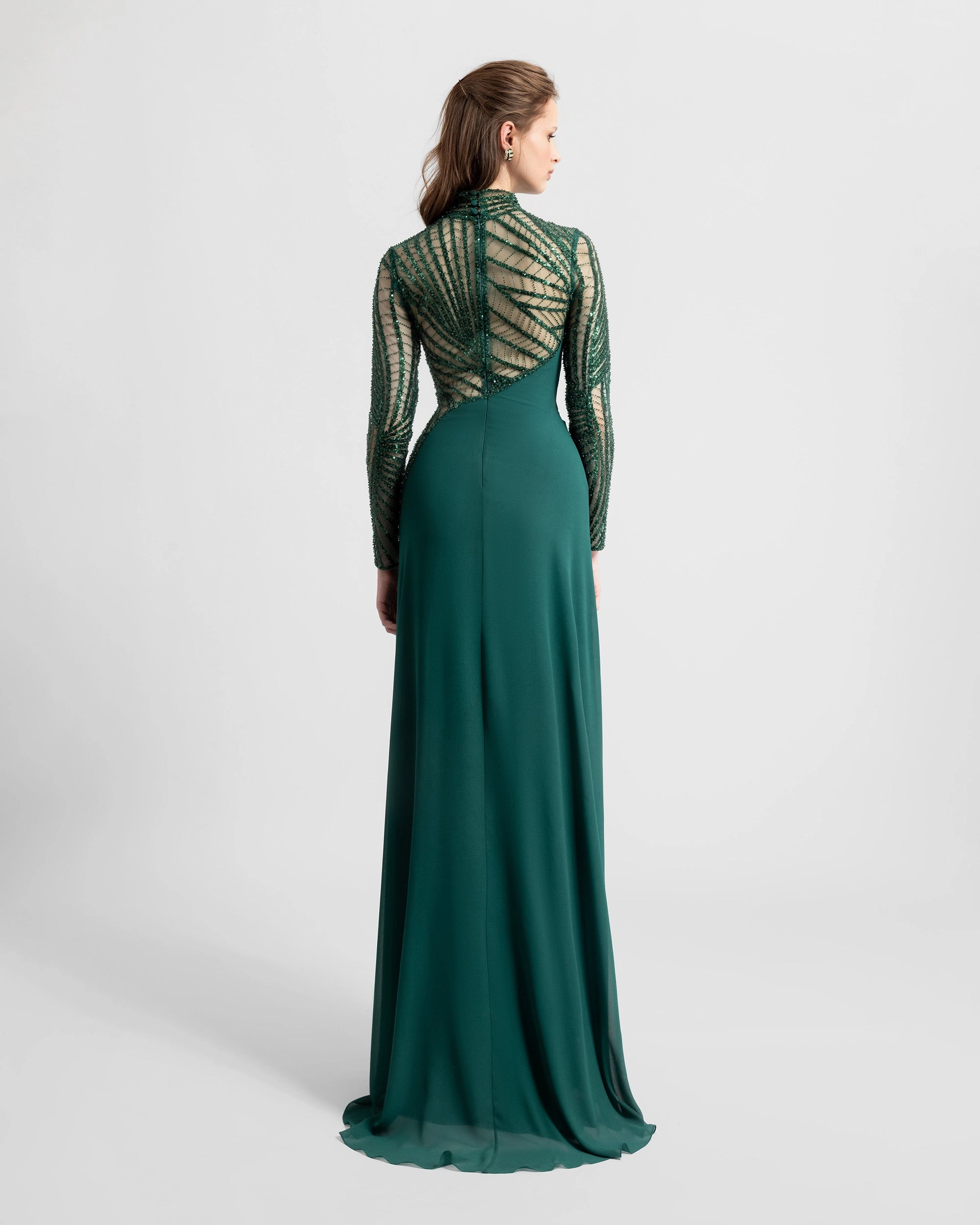 See-Through and Embroidered Sleeves Dress